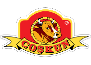 Çoşkun